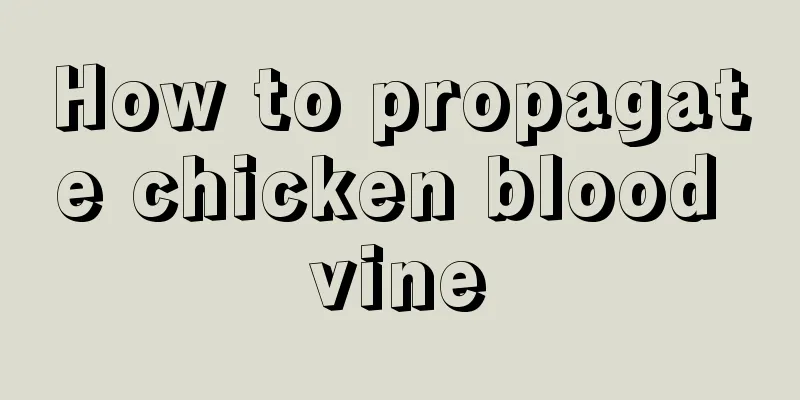 How to propagate chicken blood vine