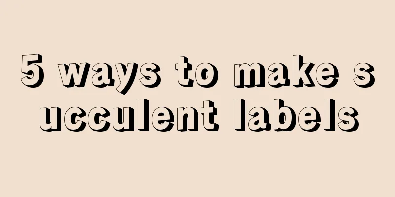 5 ways to make succulent labels