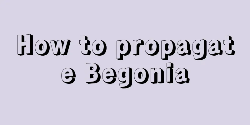 How to propagate Begonia