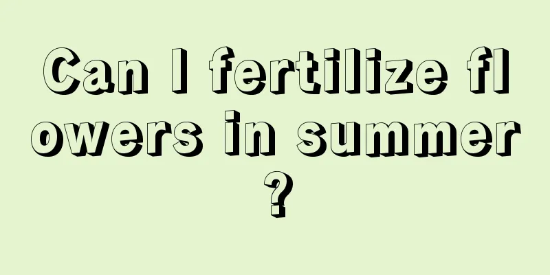 Can I fertilize flowers in summer?