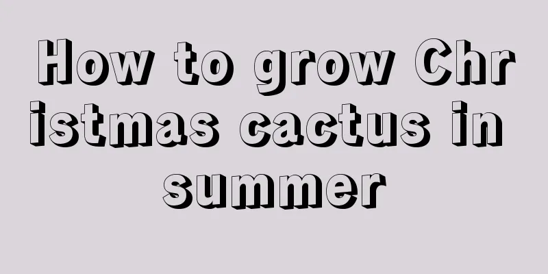 How to grow Christmas cactus in summer