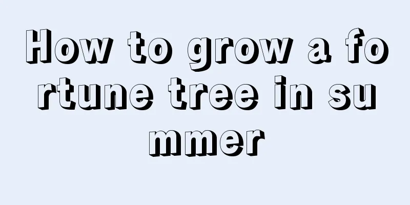 How to grow a fortune tree in summer