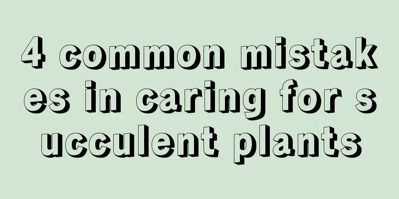 4 common mistakes in caring for succulent plants