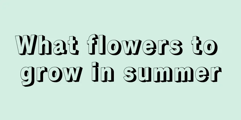 What flowers to grow in summer