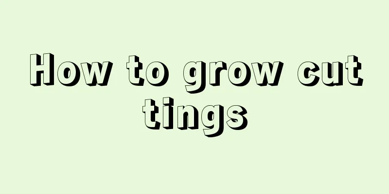 How to grow cuttings