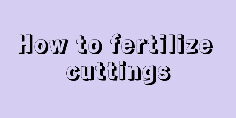 How to fertilize cuttings