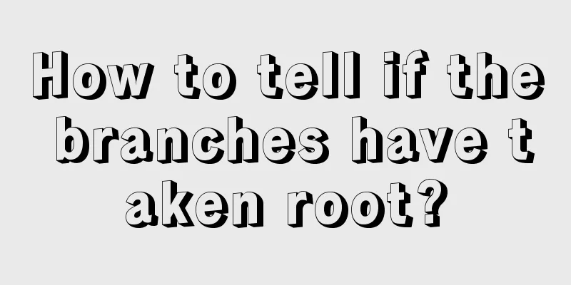 How to tell if the branches have taken root?