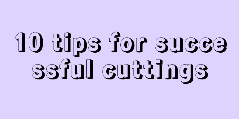 10 tips for successful cuttings