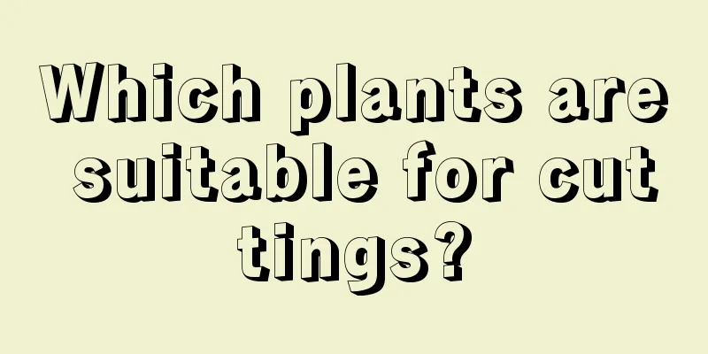 Which plants are suitable for cuttings?