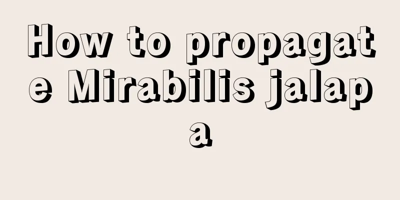 How to propagate Mirabilis jalapa