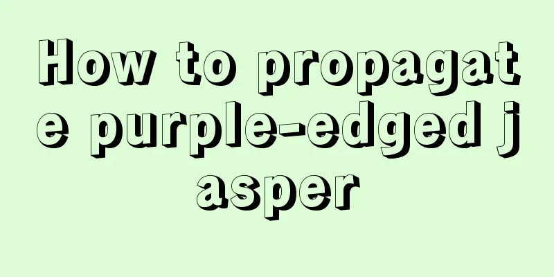 How to propagate purple-edged jasper