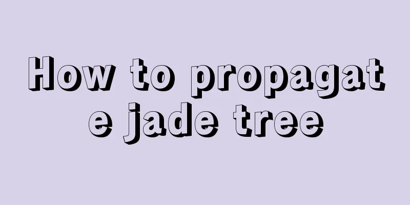 How to propagate jade tree