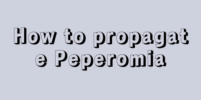 How to propagate Peperomia