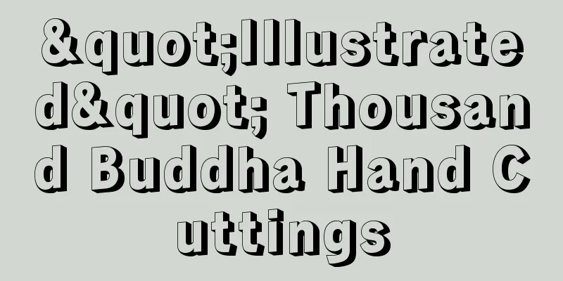 "Illustrated" Thousand Buddha Hand Cuttings