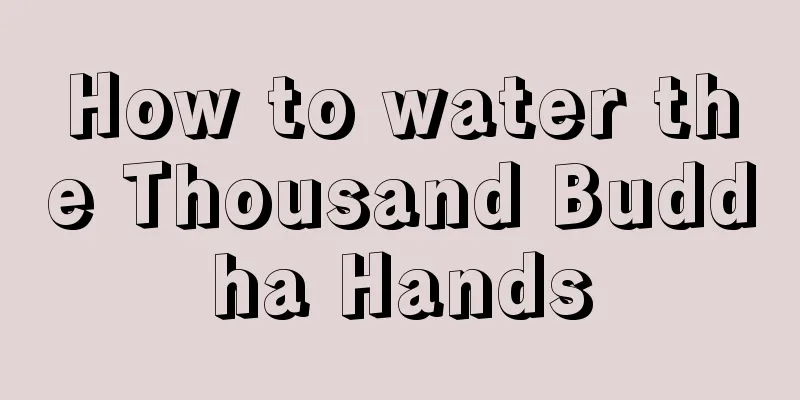 How to water the Thousand Buddha Hands