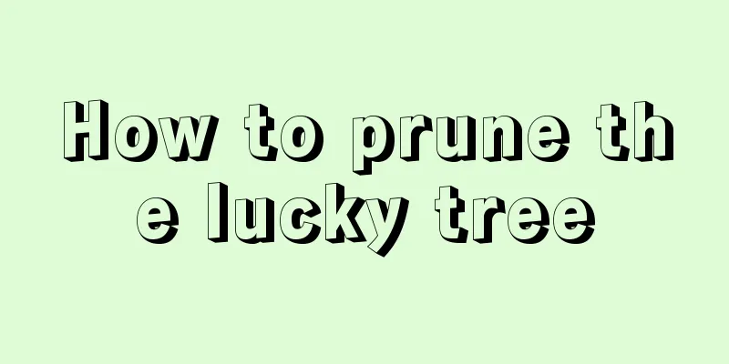 How to prune the lucky tree