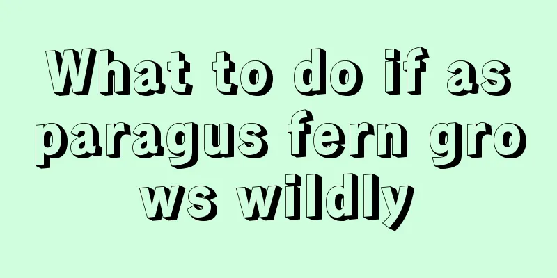 What to do if asparagus fern grows wildly