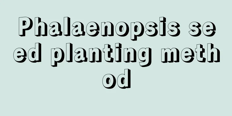 Phalaenopsis seed planting method