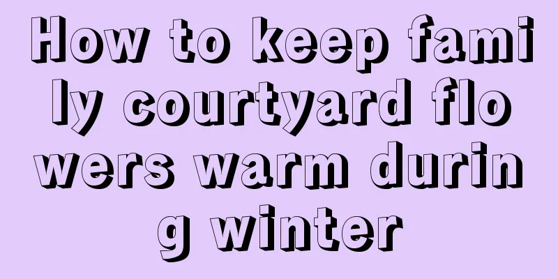 How to keep family courtyard flowers warm during winter