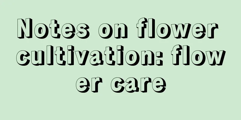 Notes on flower cultivation: flower care