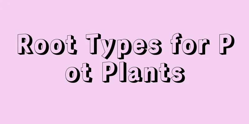 Root Types for Pot Plants