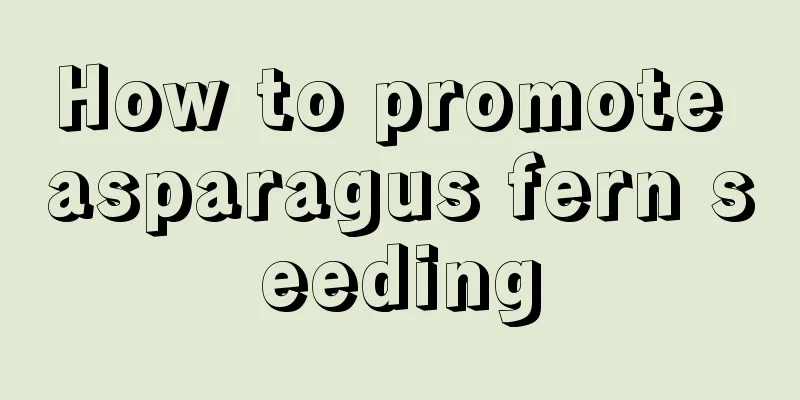 How to promote asparagus fern seeding