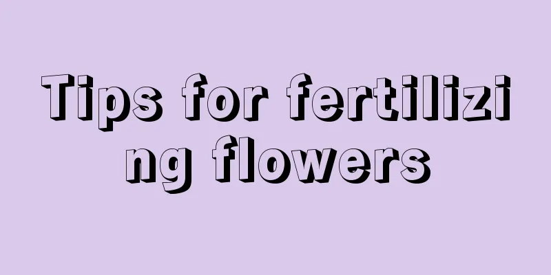 Tips for fertilizing flowers