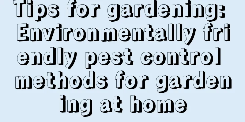 Tips for gardening: Environmentally friendly pest control methods for gardening at home