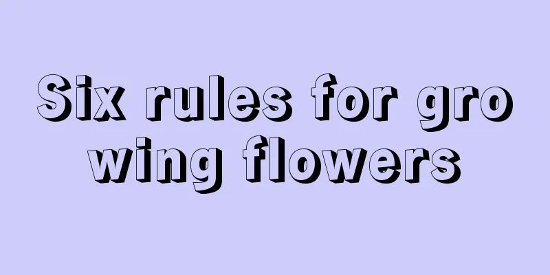 Six rules for growing flowers