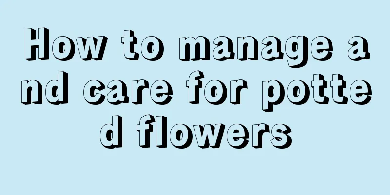 How to manage and care for potted flowers