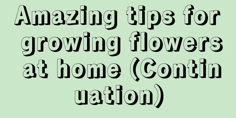 Amazing tips for growing flowers at home (Continuation)