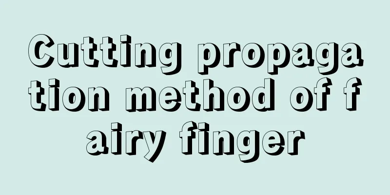 Cutting propagation method of fairy finger