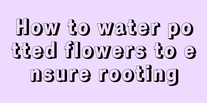 How to water potted flowers to ensure rooting