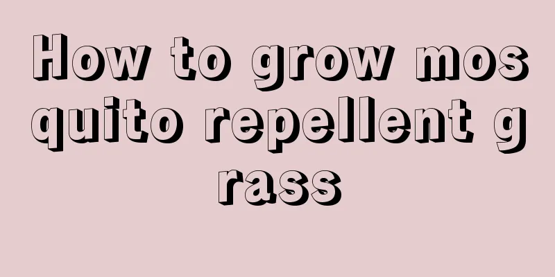 How to grow mosquito repellent grass