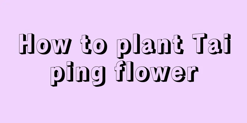 How to plant Taiping flower