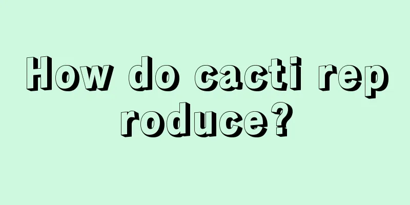 How do cacti reproduce?