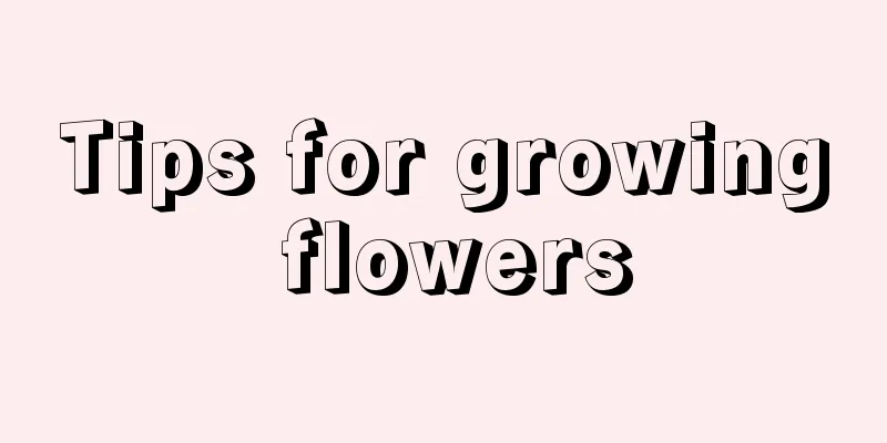 Tips for growing flowers