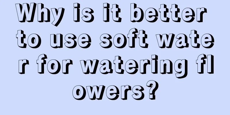 Why is it better to use soft water for watering flowers?