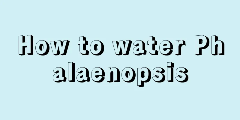 How to water Phalaenopsis