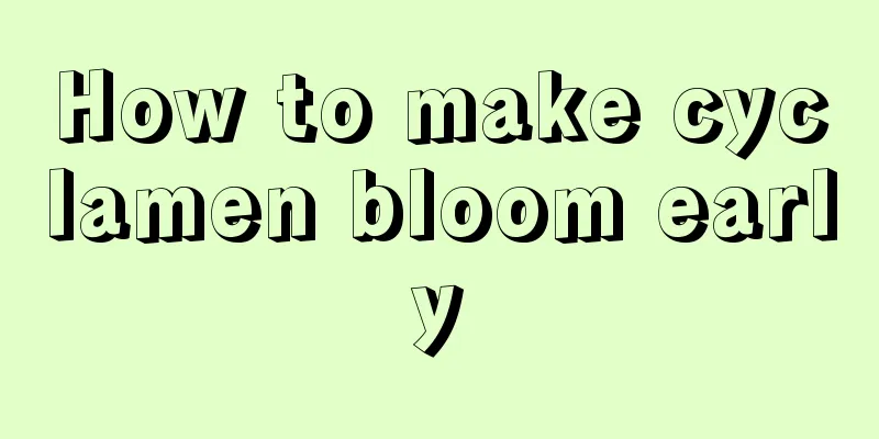 How to make cyclamen bloom early