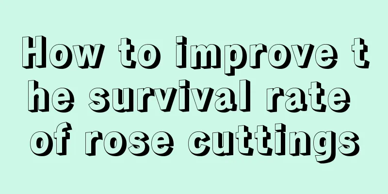 How to improve the survival rate of rose cuttings