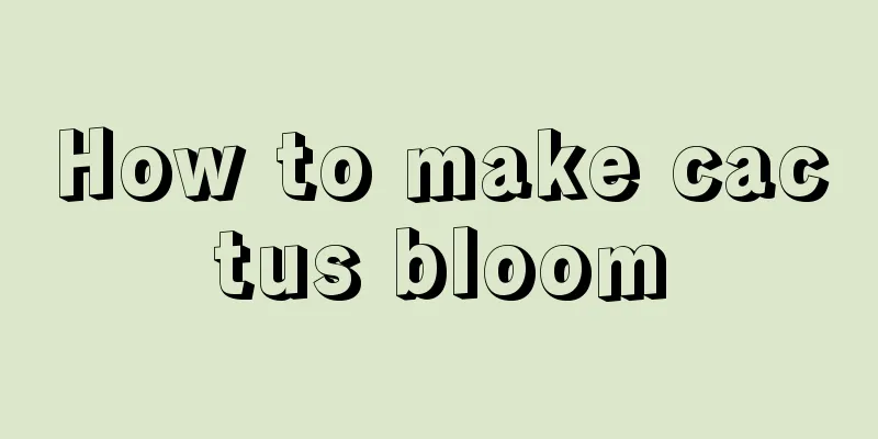 How to make cactus bloom