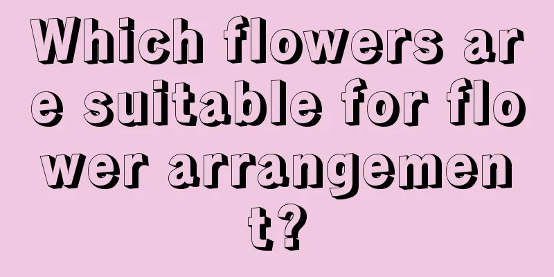 Which flowers are suitable for flower arrangement?