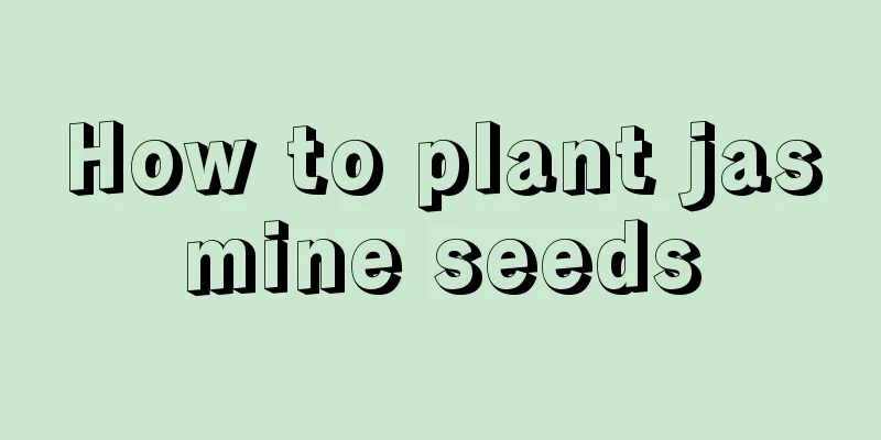 How to plant jasmine seeds