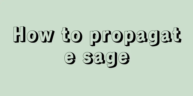 How to propagate sage