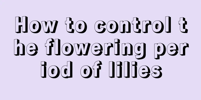 How to control the flowering period of lilies