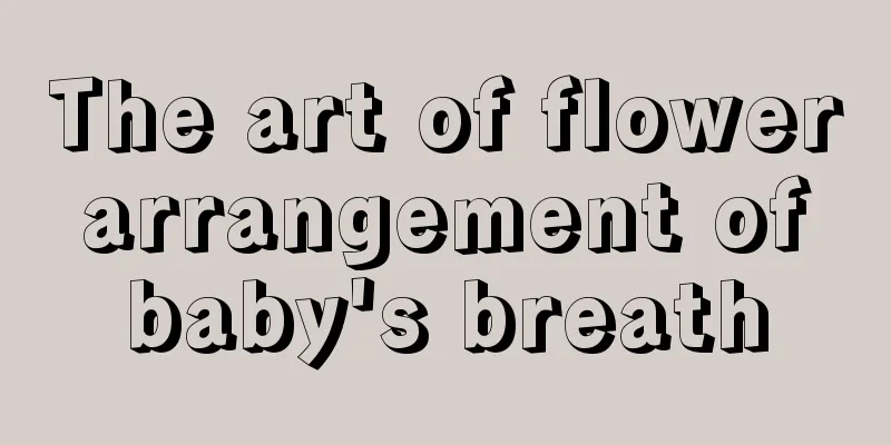 The art of flower arrangement of baby's breath