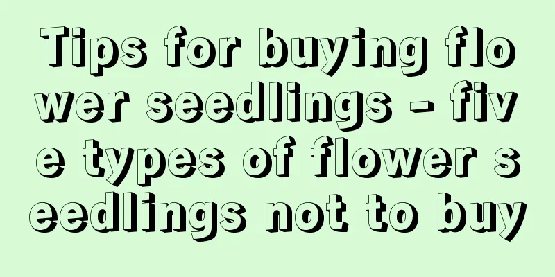 Tips for buying flower seedlings - five types of flower seedlings not to buy