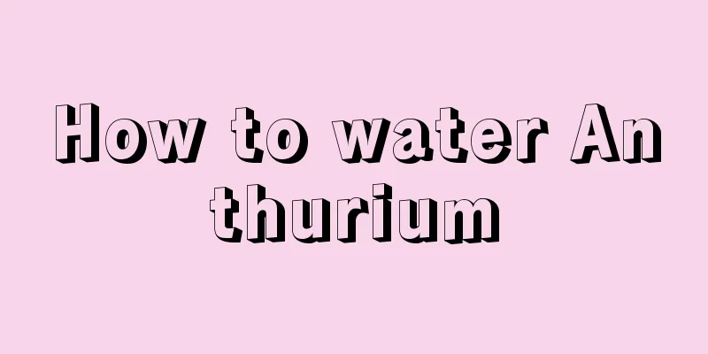 How to water Anthurium