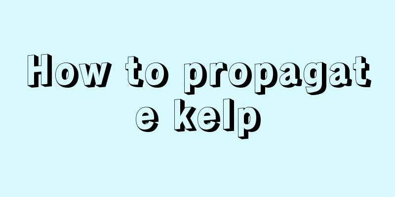 How to propagate kelp